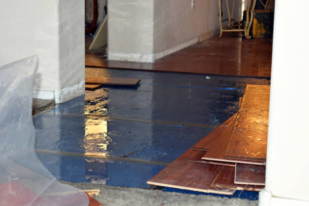 Professional Basement Flood Cleanup technician working in Jonestown, PA